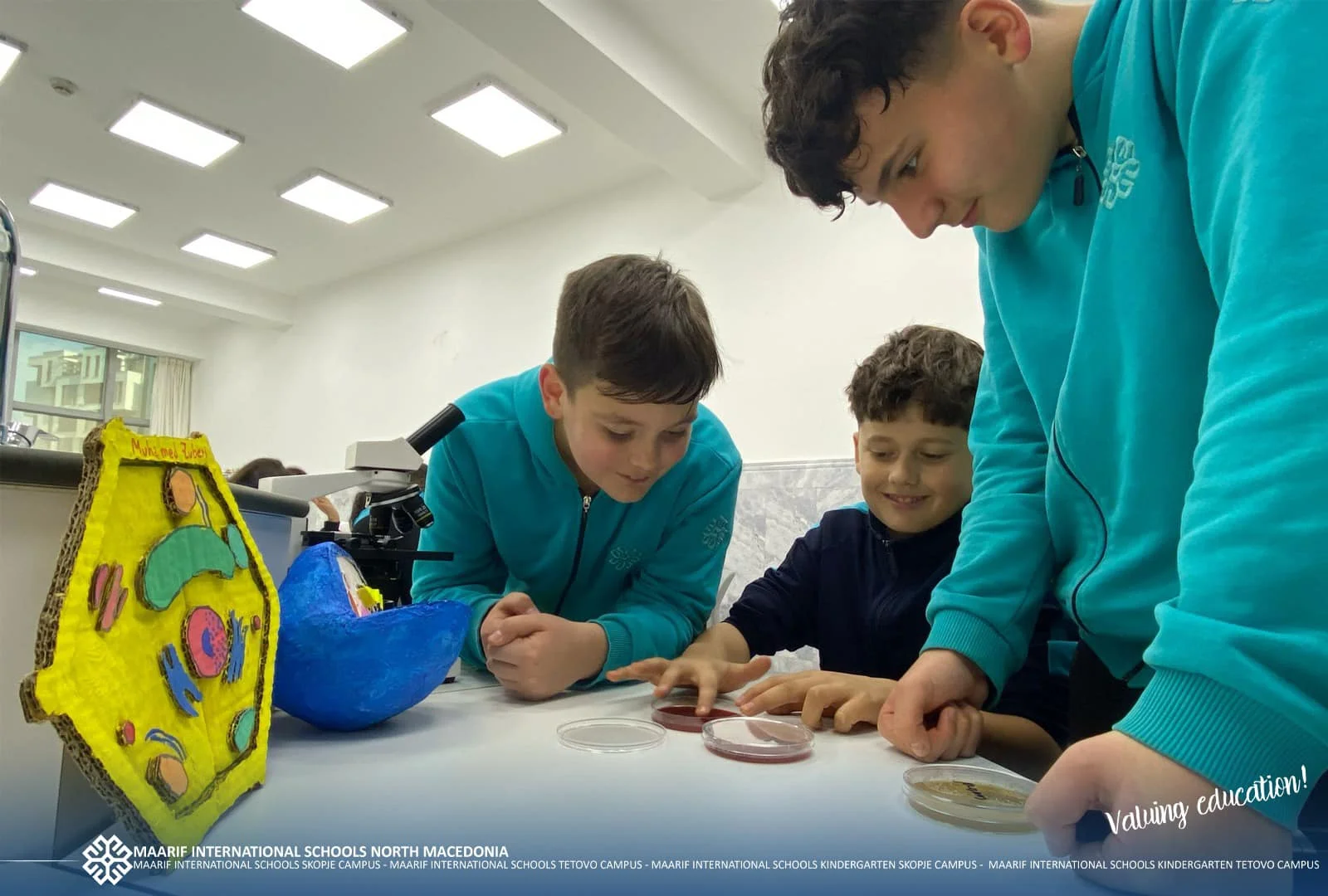 https://mk.maarifschools.org/uploads/168935afba1880.webp